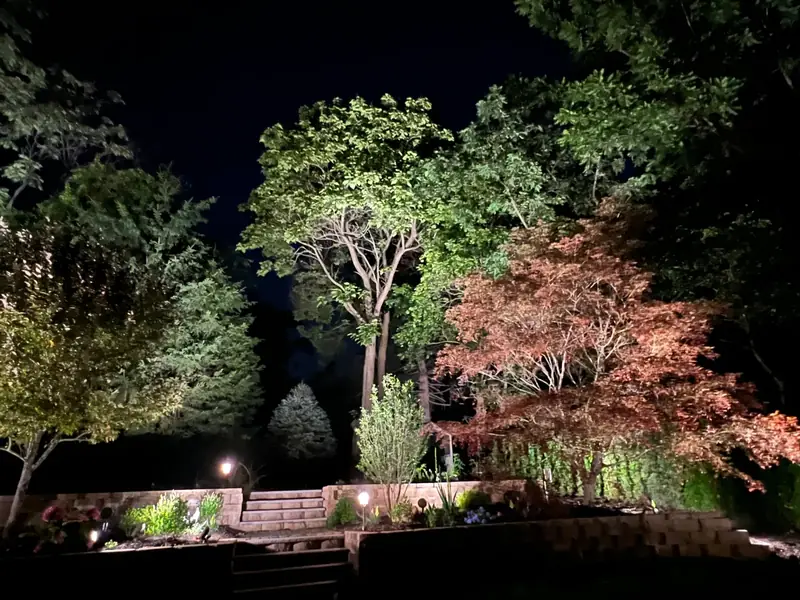 Backyard, Wayne, NJ: layered landscape lighting on maples and garden steps